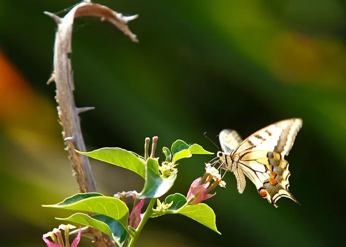 In Mit Garten Und Terrasse By Interhome