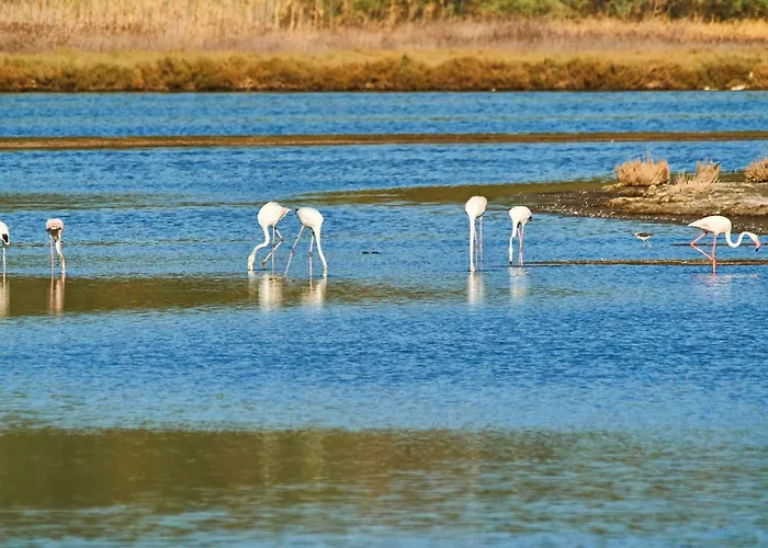 In Mit Garten Und Terrasse By Interhome Mourátagas