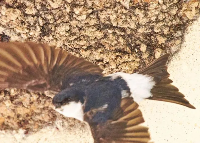 In Mit Garten Und Terrasse By Interhome Mourátagas