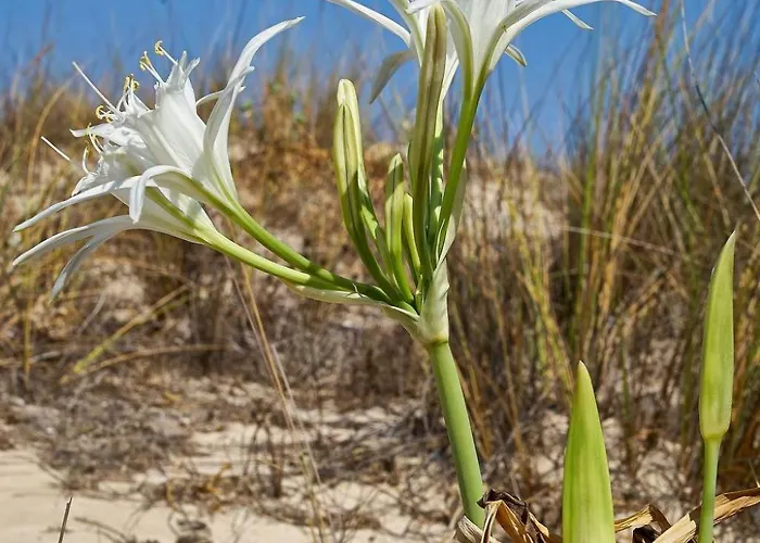 In Mit Garten Und Terrasse By Interhome *