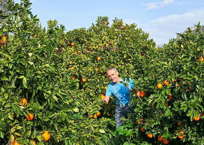 In Mit Garten Und Terrasse By Interhome Appartement *
